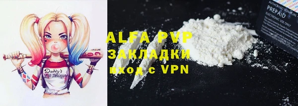 индика Балахна