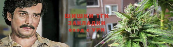 индика Балахна