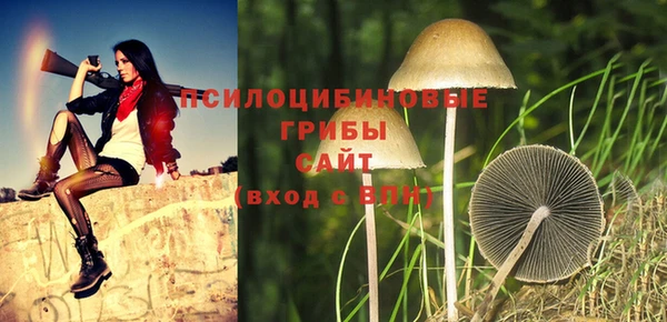 ECSTASY Баксан