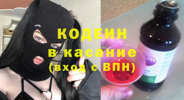 индика Балахна