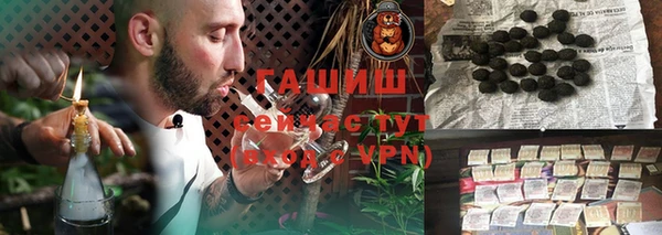 индика Балахна