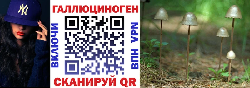 Псилоцибиновые грибы мухоморы  даркнет сайт  МЕГА ССЫЛКА  Туапсе 